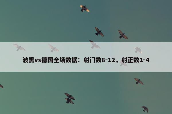 波黑vs德国全场数据：射门数8-12，射正数1-4