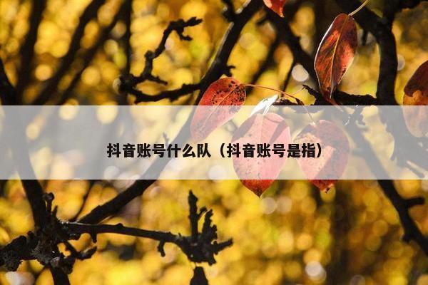 抖音账号什么队（抖音账号是指）