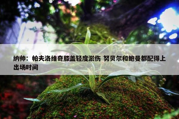 纳帅：帕夫洛维奇膝盖轻度淤伤 努贝尔和鲍曼都配得上出场时间