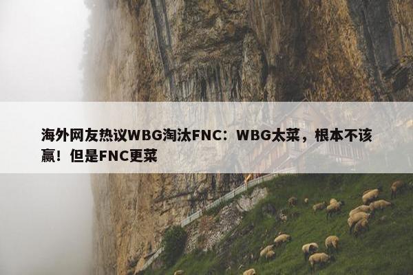 海外网友热议WBG淘汰FNC：WBG太菜，根本不该赢！但是FNC更菜