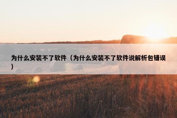 为什么安装不了软件（为什么安装不了软件说解析包错误）