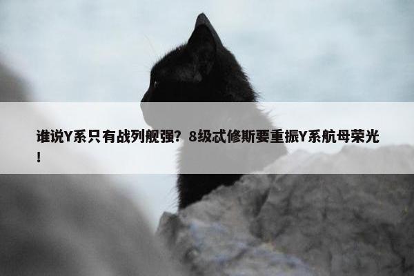 谁说Y系只有战列舰强？8级忒修斯要重振Y系航母荣光！