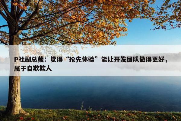 P社副总裁：觉得“抢先体验”能让开发团队做得更好，属于自欺欺人