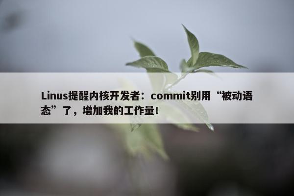 Linus提醒内核开发者：commit别用“被动语态”了，增加我的工作量！