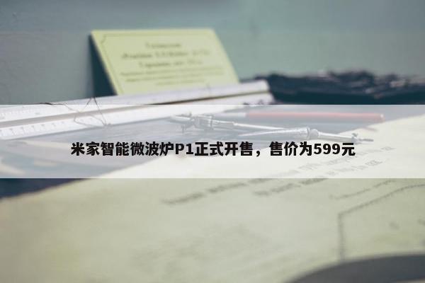 米家智能微波炉P1正式开售，售价为599元