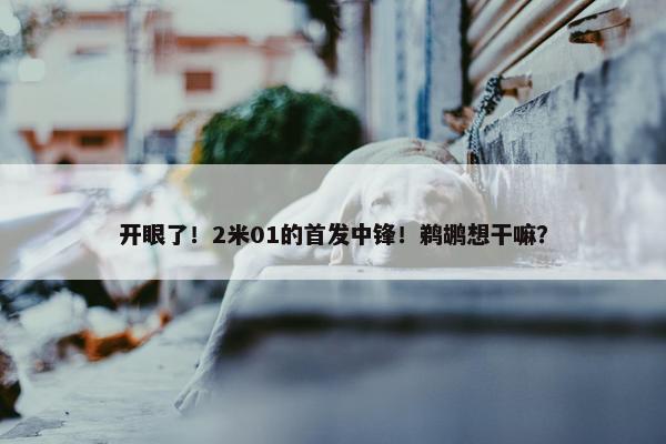 开眼了！2米01的首发中锋！鹈鹕想干嘛？