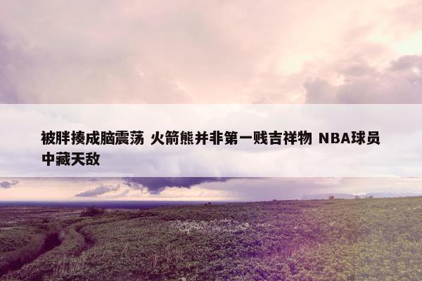 被胖揍成脑震荡 火箭熊并非第一贱吉祥物 NBA球员中藏天敌