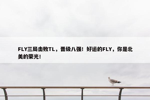 FLY三局击败TL，晋级八强！好运的FLY，你是北美的荣光！