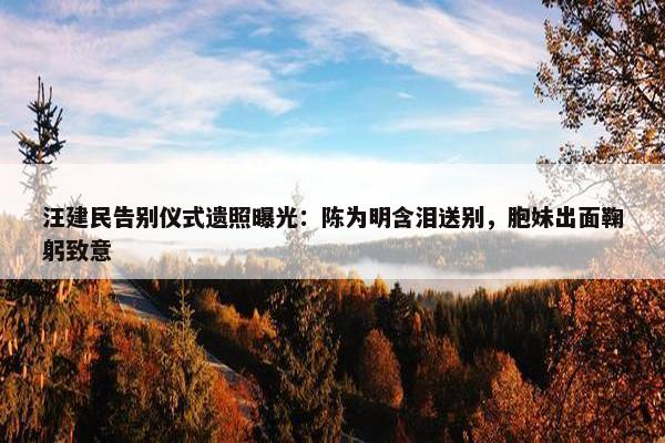 汪建民告别仪式遗照曝光：陈为明含泪送别，胞妹出面鞠躬致意