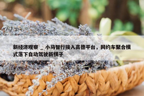 新经济观察 _ 小马智行接入高德平台，网约车聚合模式落下自动驾驶新棋子