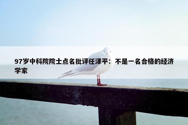 97岁中科院院士点名批评任泽平：不是一名合格的经济学家