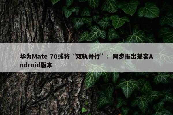 华为Mate 70或将“双轨并行”：同步推出兼容Android版本