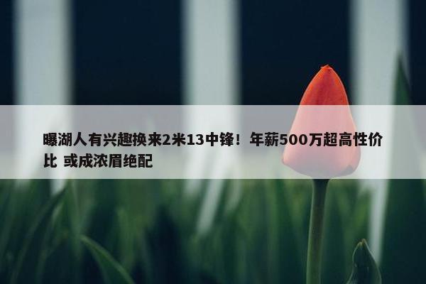 曝湖人有兴趣换来2米13中锋！年薪500万超高性价比 或成浓眉绝配