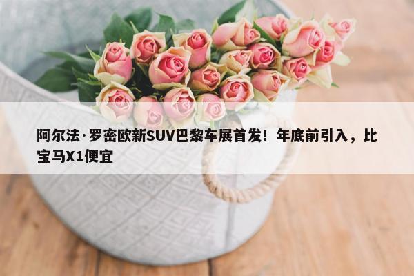 阿尔法·罗密欧新SUV巴黎车展首发！年底前引入，比宝马X1便宜