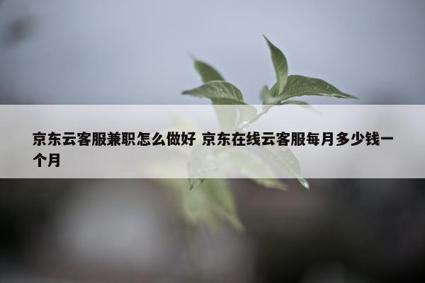 京东云客服兼职怎么做好 京东在线云客服每月多少钱一个月