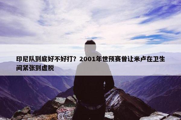 印尼队到底好不好打？2001年世预赛曾让米卢在卫生间紧张到虚脱