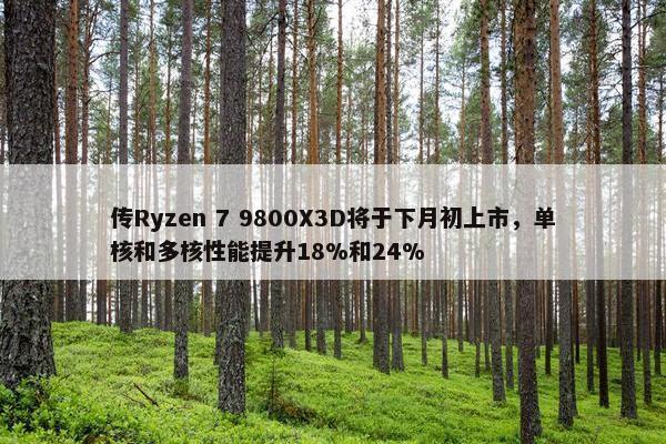 传Ryzen 7 9800X3D将于下月初上市，单核和多核性能提升18%和24%