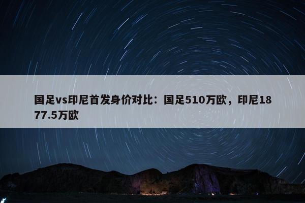 国足vs印尼首发身价对比：国足510万欧，印尼1877.5万欧