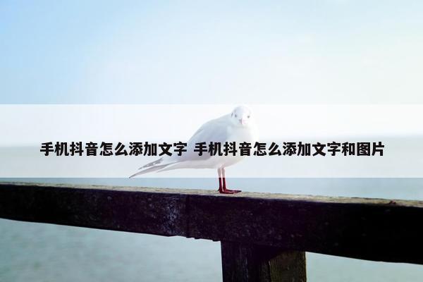 手机抖音怎么添加文字 手机抖音怎么添加文字和图片