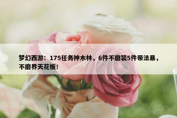 梦幻西游：175任务神木林，6件不磨装5件带法暴，不磨界天花板！