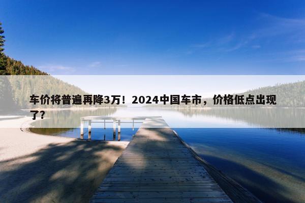 车价将普遍再降3万！2024中国车市，价格低点出现了？