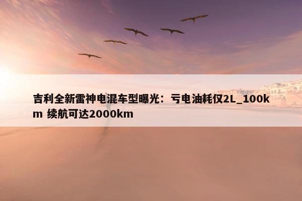 吉利全新雷神电混车型曝光：亏电油耗仅2L_100km 续航可达2000km