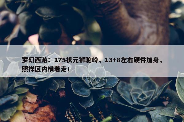 梦幻西游：175状元狮驼岭，13+8左右硬件加身，照样区内横着走！