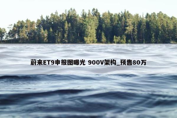 蔚来ET9申报图曝光 900V架构_预售80万