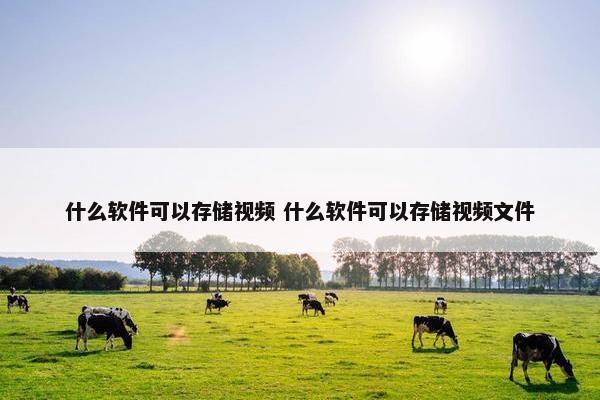 什么软件可以存储视频 什么软件可以存储视频文件