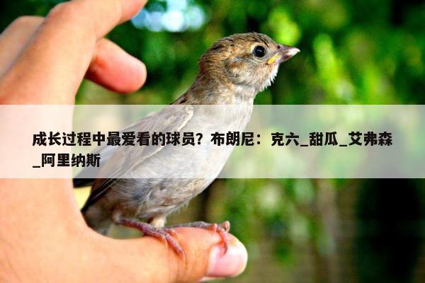 成长过程中最爱看的球员？布朗尼：克六_甜瓜_艾弗森_阿里纳斯