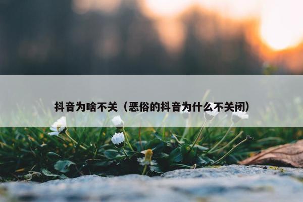 抖音为啥不关（恶俗的抖音为什么不关闭）