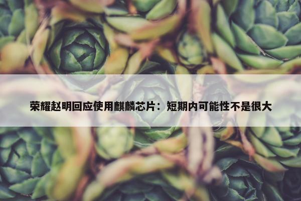 荣耀赵明回应使用麒麟芯片：短期内可能性不是很大