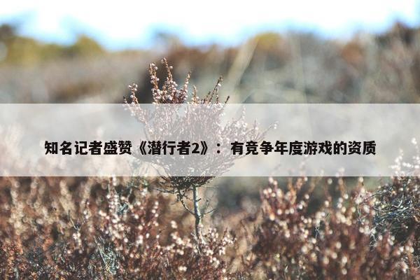 知名记者盛赞《潜行者2》：有竞争年度游戏的资质