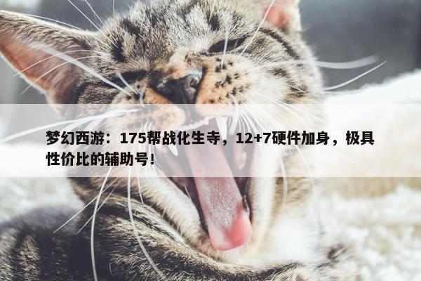 梦幻西游：175帮战化生寺，12+7硬件加身，极具性价比的辅助号！