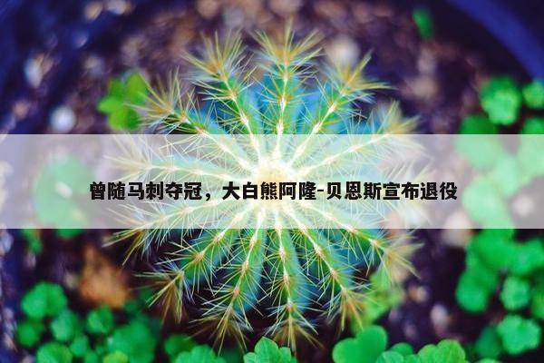 曾随马刺夺冠，大白熊阿隆-贝恩斯宣布退役