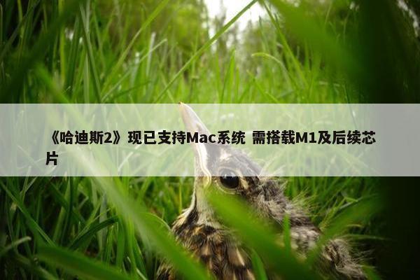 《哈迪斯2》现已支持Mac系统 需搭载M1及后续芯片