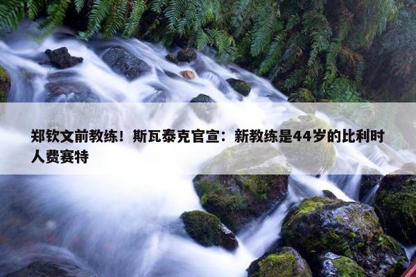 郑钦文前教练！斯瓦泰克官宣：新教练是44岁的比利时人费赛特