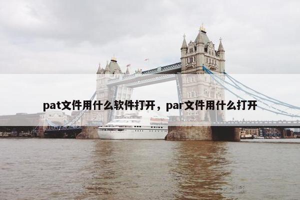 pat文件用什么软件打开，par文件用什么打开