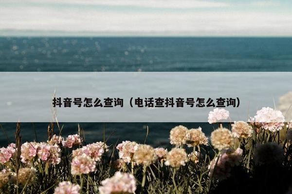 抖音号怎么查询（电话查抖音号怎么查询）