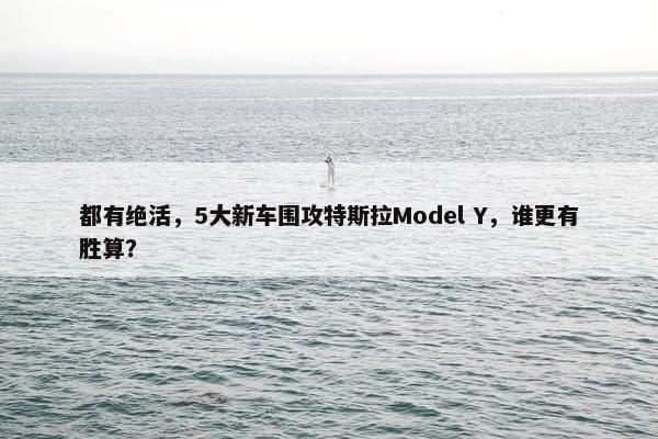 都有绝活，5大新车围攻特斯拉Model Y，谁更有胜算？