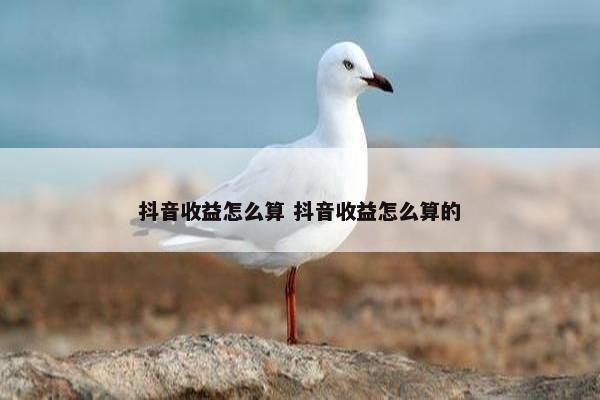 抖音收益怎么算 抖音收益怎么算的