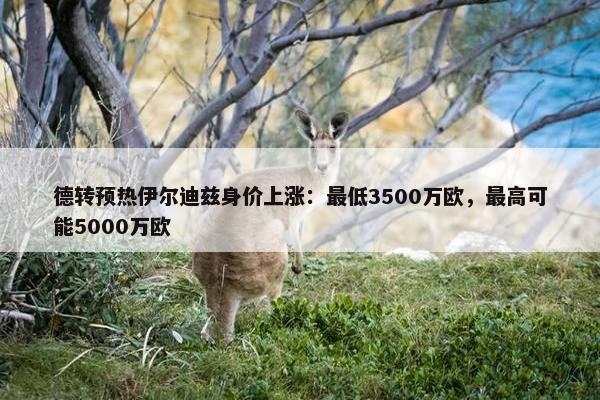 德转预热伊尔迪兹身价上涨：最低3500万欧，最高可能5000万欧