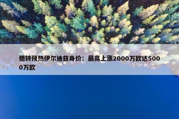 德转预热伊尔迪兹身价：最高上涨2000万欧达5000万欧