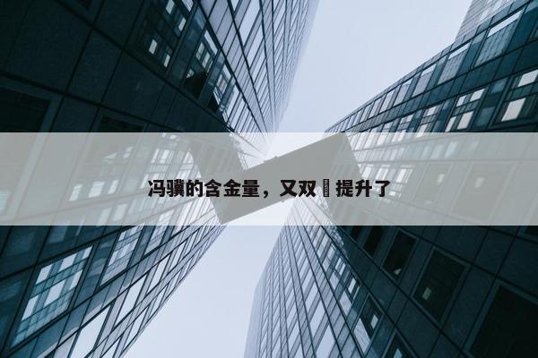 冯骥的含金量，又双叒提升了