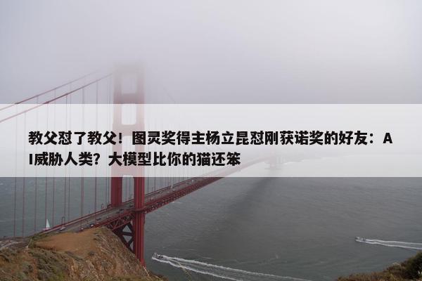 教父怼了教父！图灵奖得主杨立昆怼刚获诺奖的好友：AI威胁人类？大模型比你的猫还笨