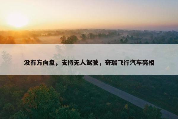 没有方向盘，支持无人驾驶，奇瑞飞行汽车亮相