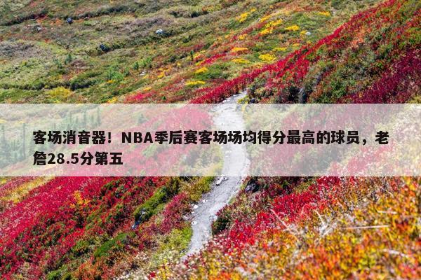 客场消音器！NBA季后赛客场场均得分最高的球员，老詹28.5分第五