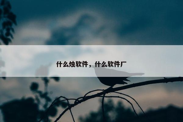 什么烛软件，什么软件厂