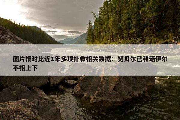 图片报对比近1年多项扑救相关数据：努贝尔已和诺伊尔不相上下