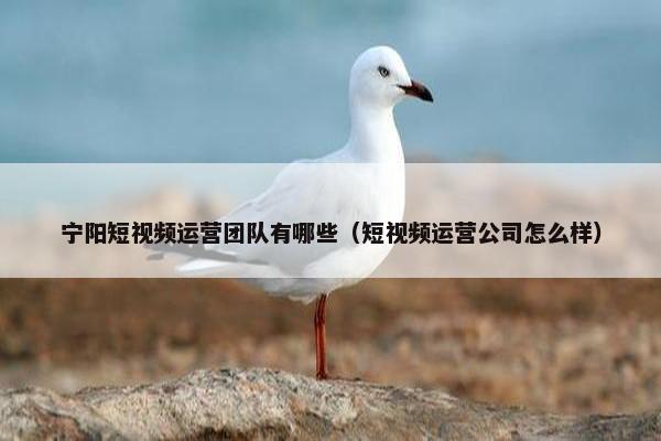 宁阳短视频运营团队有哪些（短视频运营公司怎么样）